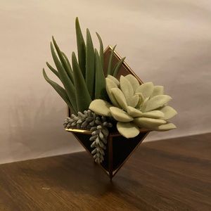 Bath and Body Works Wallflower Plug-in Succulents